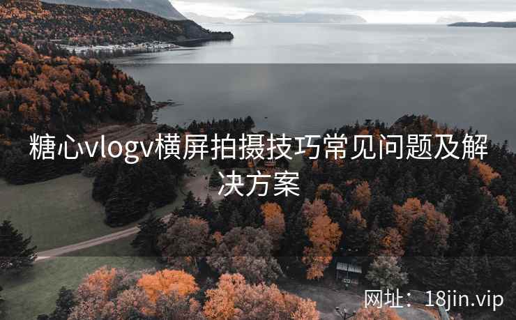 糖心vlogv横屏拍摄技巧常见问题及解决方案  第1张