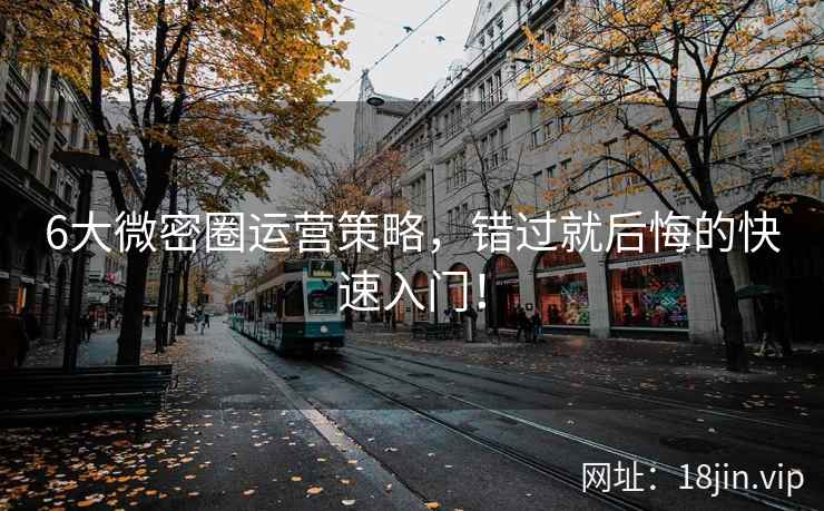 6大微密圈运营策略，错过就后悔的快速入门！