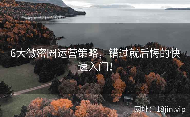 6大微密圈运营策略，错过就后悔的快速入门！