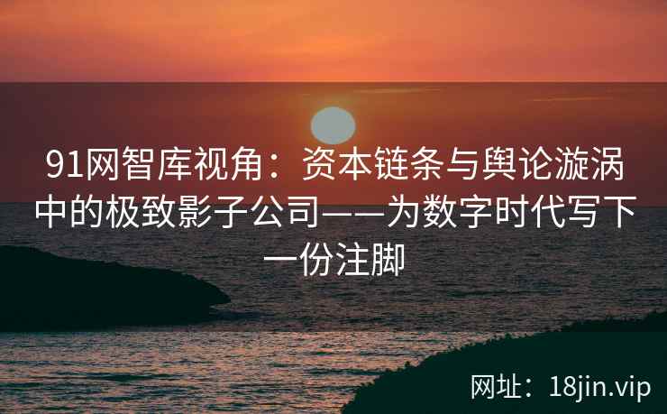 91网智库视角：资本链条与舆论漩涡中的极致影子公司——为数字时代写下一份注脚