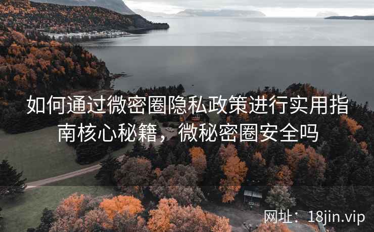 如何通过微密圈隐私政策进行实用指南核心秘籍，微秘密圈安全吗