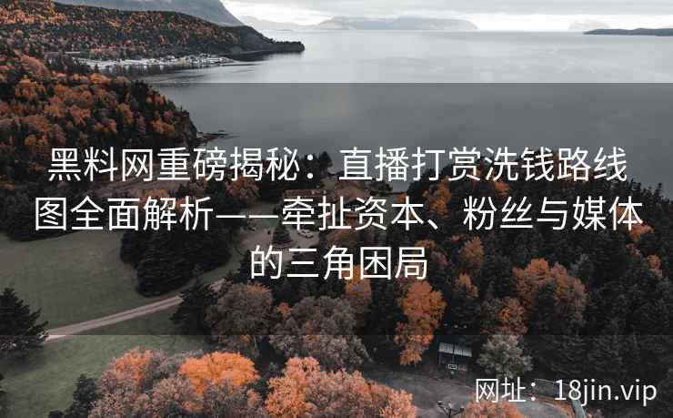 黑料网重磅揭秘：直播打赏洗钱路线图全面解析——牵扯资本、粉丝与媒体的三角困局