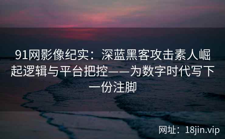 91网影像纪实：深蓝黑客攻击素人崛起逻辑与平台把控——为数字时代写下一份注脚
