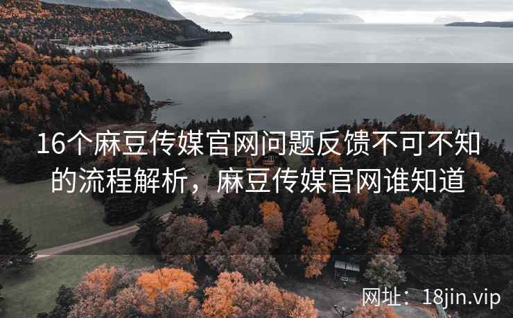 16个麻豆传媒官网问题反馈不可不知的流程解析，麻豆传媒官网谁知道  第2张