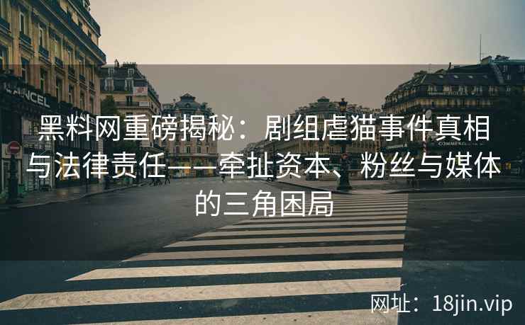 黑料网重磅揭秘：剧组虐猫事件真相与法律责任——牵扯资本、粉丝与媒体的三角困局