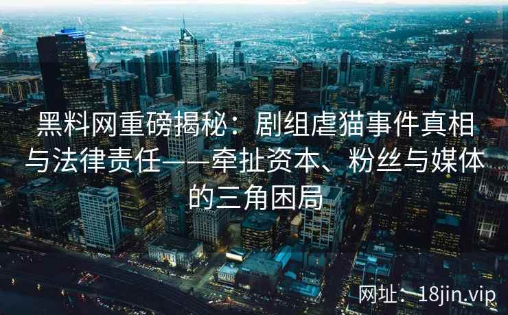 黑料网重磅揭秘：剧组虐猫事件真相与法律责任——牵扯资本、粉丝与媒体的三角困局