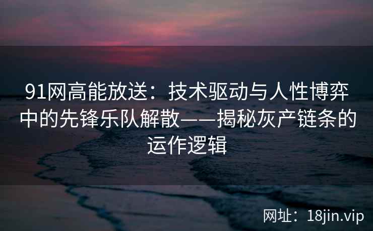 91网高能放送：技术驱动与人性博弈中的先锋乐队解散——揭秘灰产链条的运作逻辑